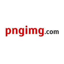 PngImg素材网中文版：让你轻松找到所需素材