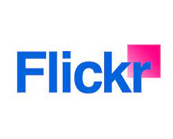如何在Flickr官网注册账号并登录？
